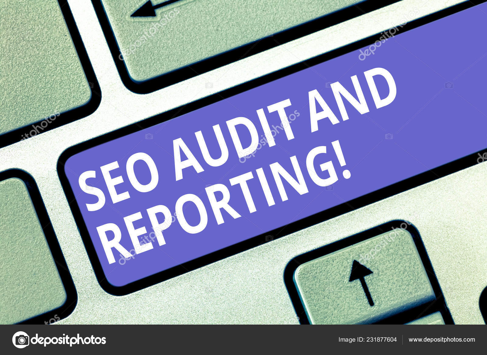 search engine optimization audit